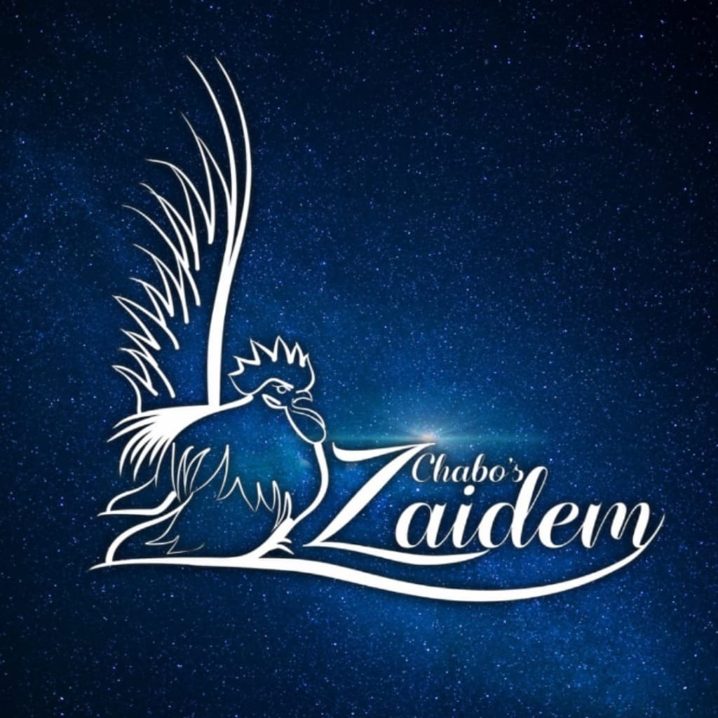 Logo Chabos Zaidem