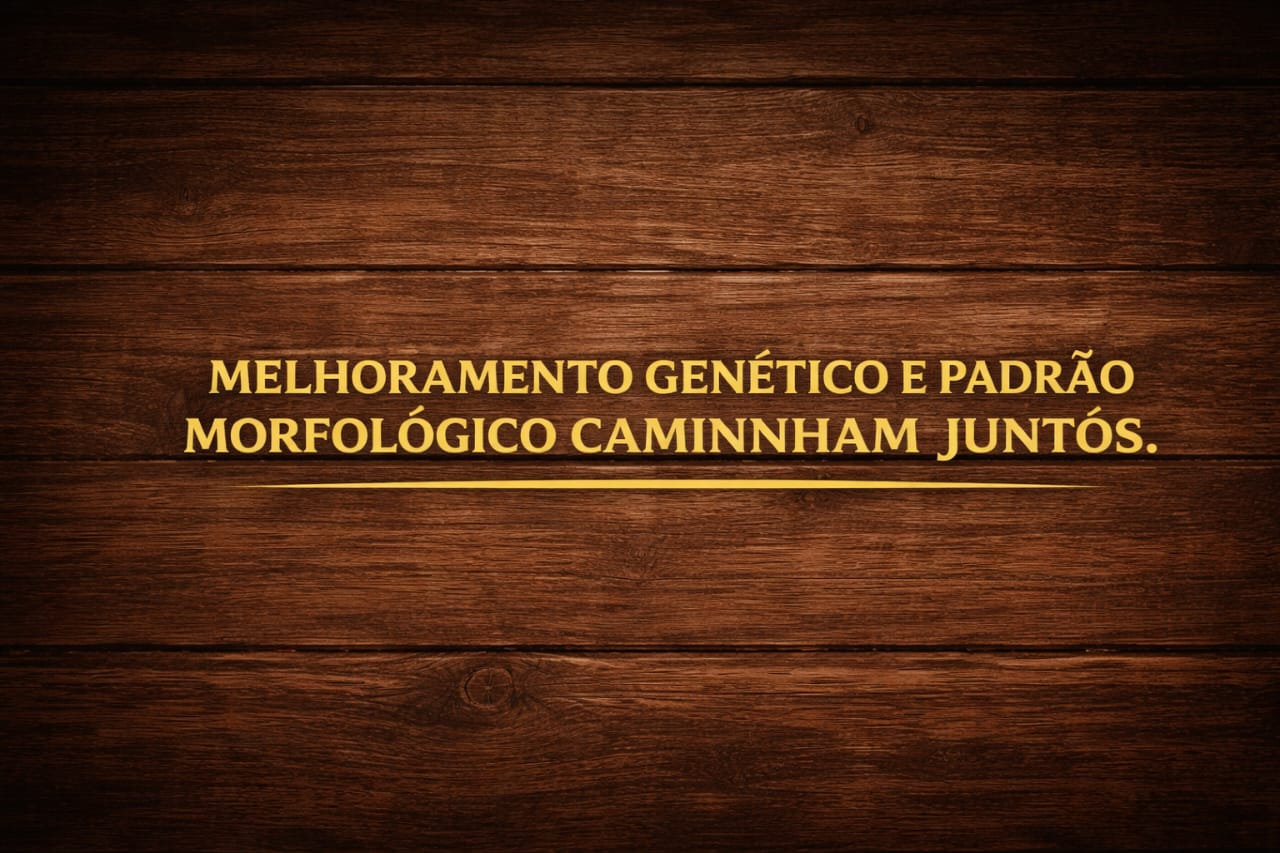 Banner do Criatório