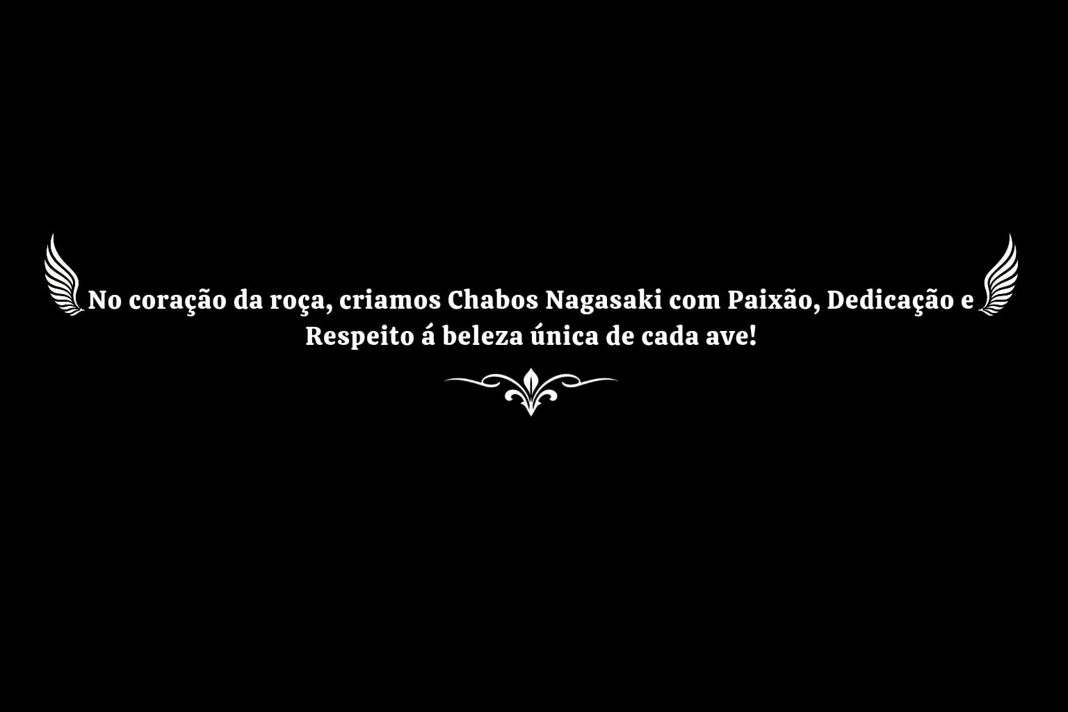 Banner do Criatório