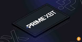 Explorando o Mundo do PrimeXBT Live Trading