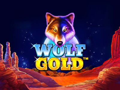 wolf gold free play - 신나는 게임 세계로의 초대 wolf gold free play - 신나는 게임 세계로의 초대